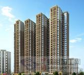 房地產開發與房屋建設 福建省華茂的實踐與市場策略